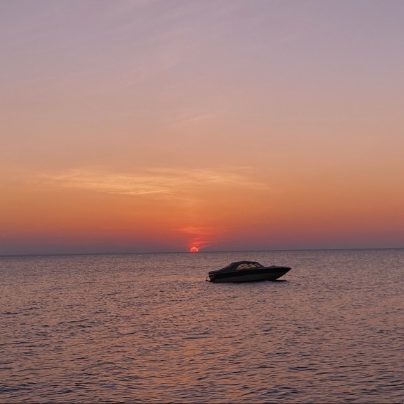 Meet your Posher, Nora - Picture 1 of 1